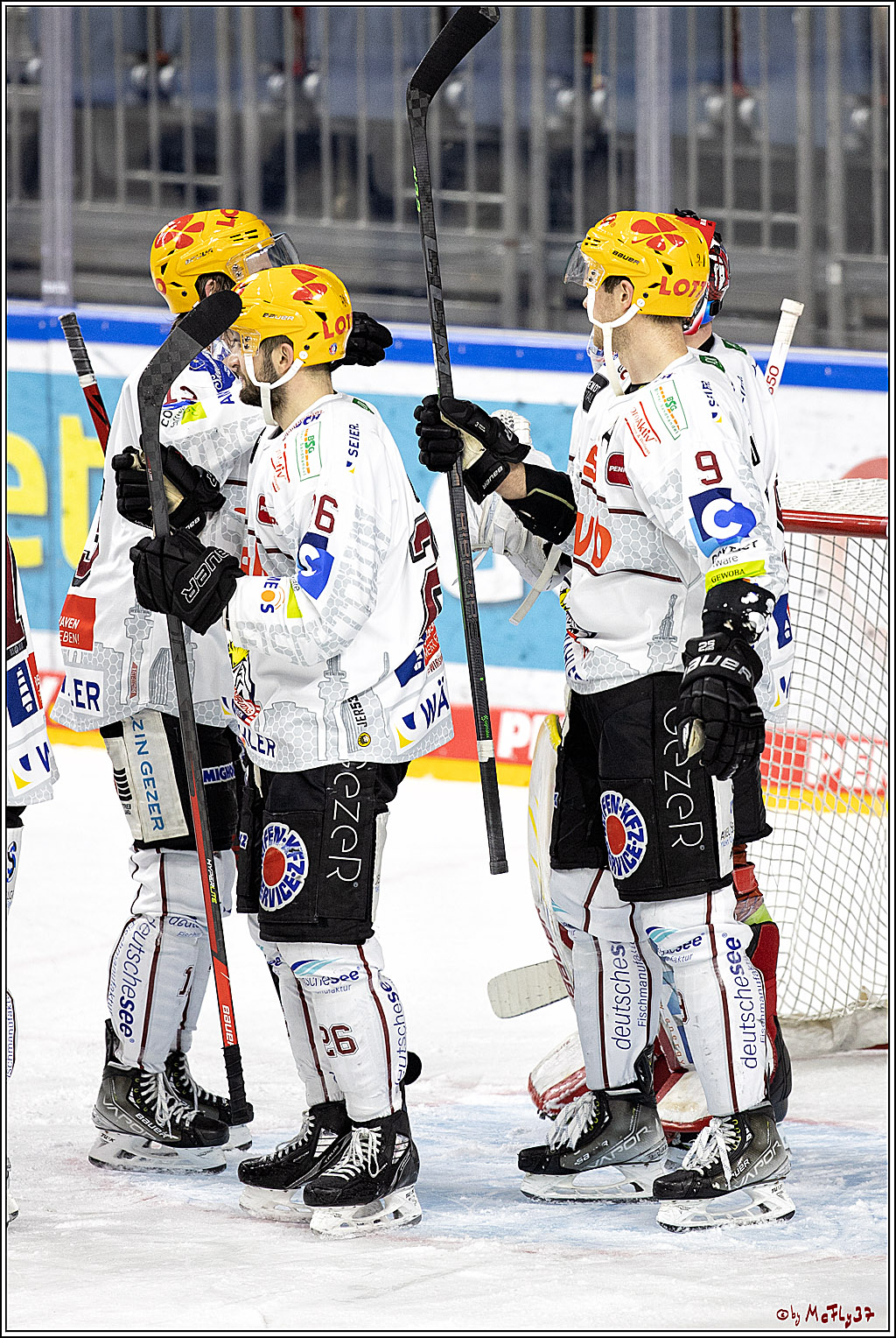 PENNY DEL;  Koelner Haie - Fischtown Pinguins Bremerhaven; Koeln, 03.01.2022